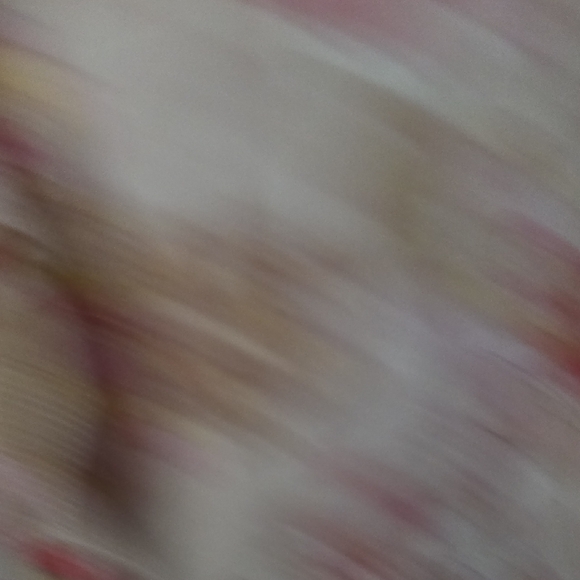 Sanctuary Pink and Cream Floral Blouse - Picture 3 of 4